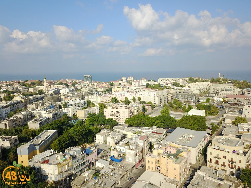 jamal basha tsterre (8).JPG